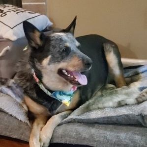 Meet your Posher, Cathy